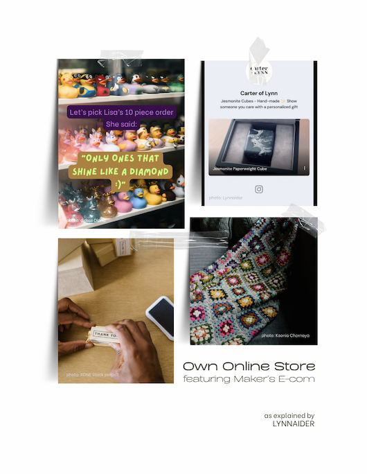 Snapshots of solo business examples using the Own Online Store business model