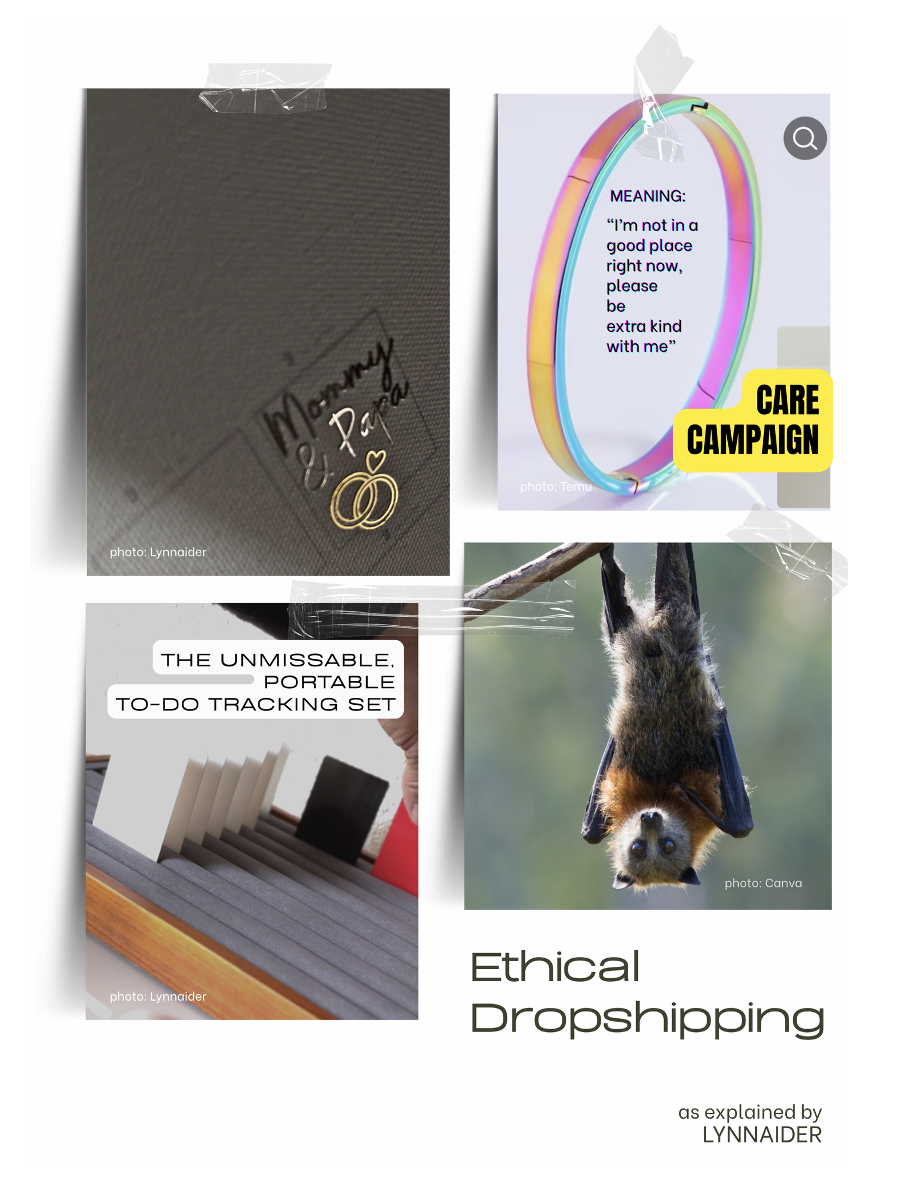 Snapshots of solo business examples using the Dropshipping business model